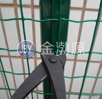 荷兰网柱